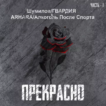 Гвардия Прекрасно альбом
