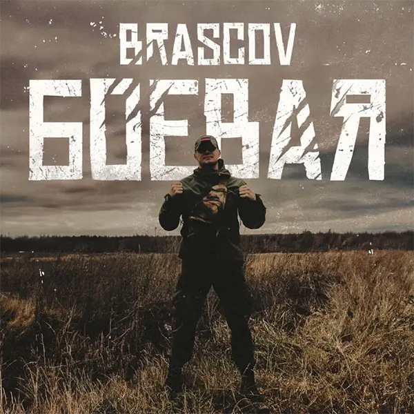 Боевая — Обложка песни