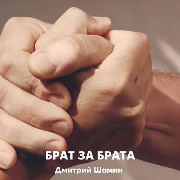 Брат за брата — Обложка песни