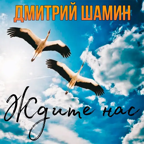 Ждите нас — Обложка песни