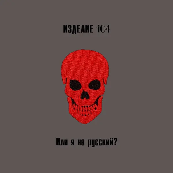 Или я не русский? — Обложка песни