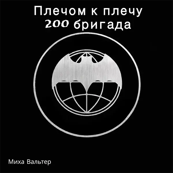 Плечом к плечу (200 бригада) — Обложка песни