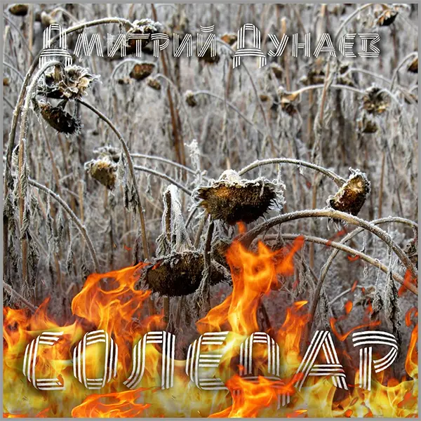 Соледар — Обложка песни